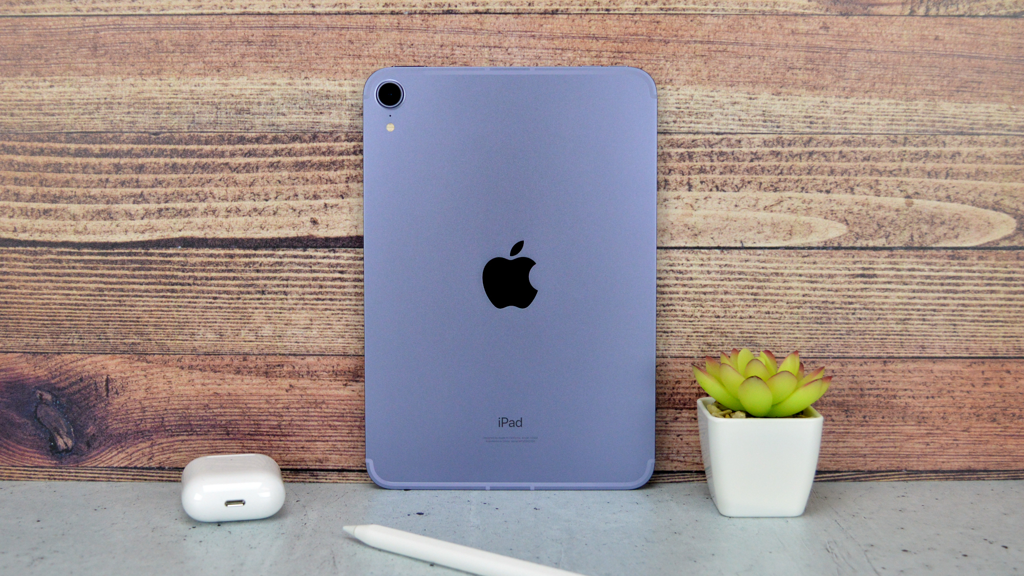 Apple iPad Mini 2021 Voltar